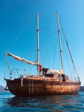 Old boat
